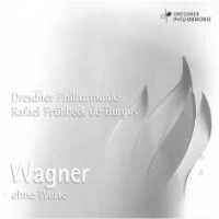 Wagner Without Words